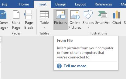 Adding images to the report - 1